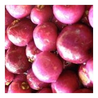 NATIF Riberry/LilliPilli Freeze Dried Whole Fruit (20g)