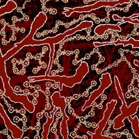 Yellow Bush Plum (Red)  - Aboriginal design Fabric