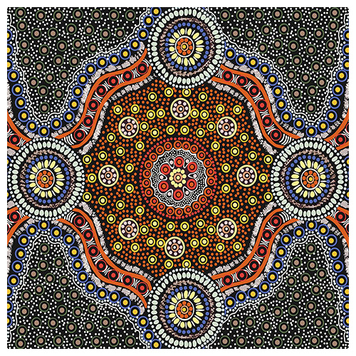 Wild Bush Flowers (Black) - Aboriginal design Fabric