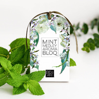 Bell Art Aroma Bloq (70g) - Mint Medley
