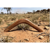 Skeenarang Booma - Black Wattle Root Hunting Returning Boomerang (50cms)
