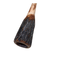Eucalyptus (Ironbark) Unpainted Didgeridoo (1.4m) - Natural Bark End