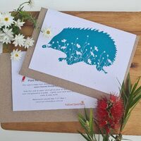 Native Seed Box Plantable Greeting Card - Echidna