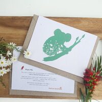 Native Seed Box Plantable Greeting Card - Koala