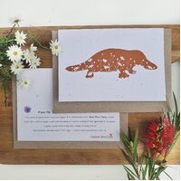 Native Seed Box Plantable Greeting Card - Platypus