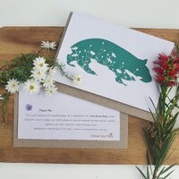 Native Seed Box Plantable Greeting Card - Wombat