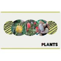 Bush Tukka Guide for Kids - Aboriginal Bush Tucker Reference Book