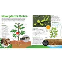 Deadly Science - How Plants Thrive [HC] - an Aboriginal Children's Book