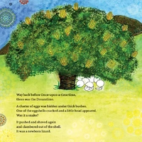 Turbo Turtle [HC] - Aboriginal Children's Book