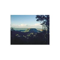 the Battle of One Tree Hill - Reference Text