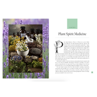Plant Spirit Medicine [HC] - A Guide to Making Healing Products from Nature