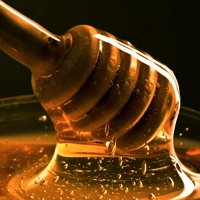 Nature's Gold Leatherwood Honey 500g (from Tasmania)