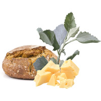 Tuckeroo Bush Bread Damper Mix - Saltbush & Cheddar (450g)