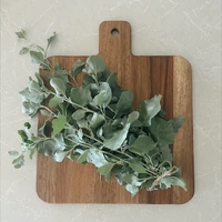 Creative Native Saltbush Milled Flakes (50g)