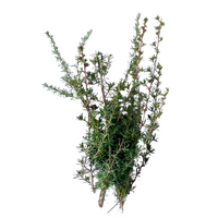 Creative Native White Kunzea Milled Flakes (50g)