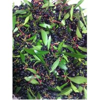 Outback Chef Mountain Pepperberries (whole) (10g) - Native Herb