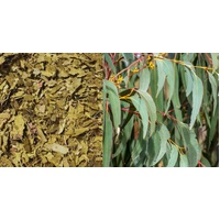 Wild Food Farm Peppermint Gum (10g)