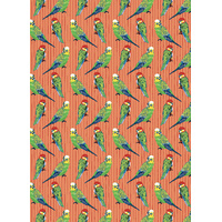 Birds & Bugs - All Wrapped Up - Aboriginal Sheets Wrapping Paper (20) & Gift Stickers