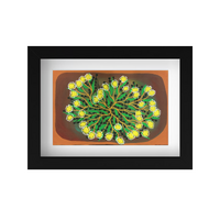 Framed Aboriginal Art PRINT (13cm x 18cm) - Wild Orange