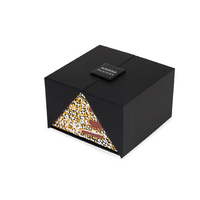 Papulankutja Aboriginal Art 2pce Woven Silk Tie Set - Wati Kutjara