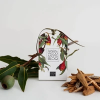 Bell Art Aroma Bloq (70g) - Sandalwood