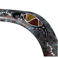 Skeenarang Booma - Black Wattle Root Hunting Returning Boomerang (50cms) - Kangaroo Dreaming
