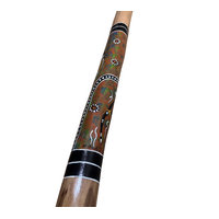 Orange/Green - Kangaroo  Eucalyptus (Grey Box) Handpainted Didgeridoo (1.24m) - Bark Base 