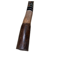 Green - Kangaroo Eucalyptus (Grey Box) Handpainted Didgeridoo (1.25m) - Bark Base 