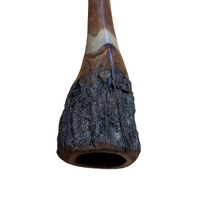 Eucalyptus (Ironbark) Handpainted Didgeridoo (1.30m) - Flared End with Emu (Red/Pink)