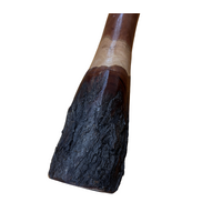 Eucalyptus (Ironbark) Handpainted Didgeridoo (1.31m) - Flared End with Emu (Green)