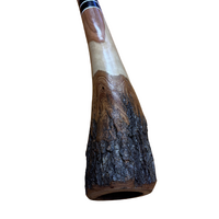Eucalyptus (Ironbark) Handpainted Didgeridoo (1.37m) - Flared End with Kangaroo (Red/Pink)