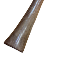 Eucalyptus (Ironbark) Handpainted Didgeridoo (1.38m) - Flared End with Brolga (Green)