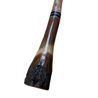 Eucalyptus (Boxwood) handpainted Didgeridoo (1.26M) Kangaroo (Orange)