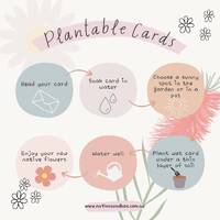Native Seed Box Plantable Greeting Card - Wombat