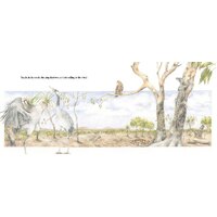 Caring for Country [SC] - an Aboriginal Children's Book