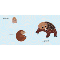 Come Home Bigibila [HC] - an Aboriginal Children's Book