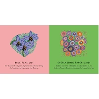 Our Flowers [BB] - Aboriginal Children's Board Book