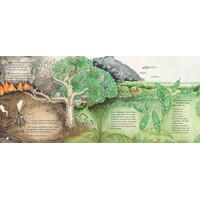 Walking in Gagudju Country [HC] - an Aboriginal Children's Book