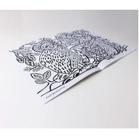 Waringarri Aboriginal Arts Colouring Book - Local Animals