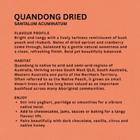 Dried Quandong Halves (50g) - My Dilly Bag 