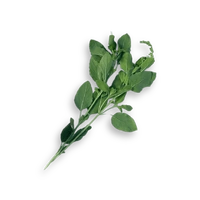 Native Basil Flakes [30g] - Creative Native