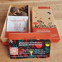 Native Seed Box - Australian  Wildflower [Native Pollinators] Collection Seedbombs