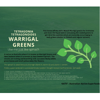 NATIF Warrigal Greens Seeds (Pk 10)
