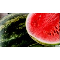 Ziggy's Wild Foods Native Peppermint Gum & Fermented Watermelon Hot Sauce [200ml]