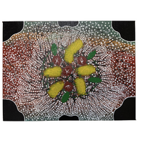 Original Aboriginal Art Stretched Canvas (40cm x 30cm) - Flowering Bush Banana Vine 