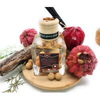 Australian Native Food Co - Spiced Bush Apple | Native Reed Diffuser with Quandong Seeds