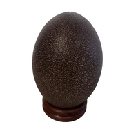 Dreamtime Kullilla Aboriginal Art Handpainted Emu Egg - Emu Dancer (3)