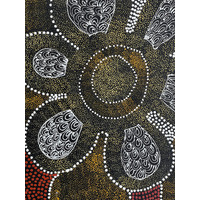 Raintree Aboriginal Art UNStretched Canvas [50cm x 41cm] - Thorny Lizard Dreaming