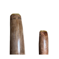 Red/Orange - Lizard Eucalyptus (Grey Box) Handpainted Didgeridoo (1.22m) - Bark Base