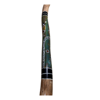 Green - Lizard Eucalyptus (Grey Box) Handpainted Didgeridoo (1.25m) - Bark Base